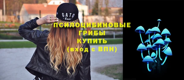 молекула духа Алзамай