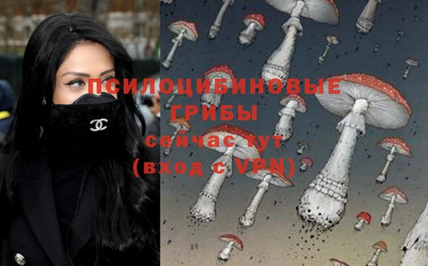 молекула духа Алзамай
